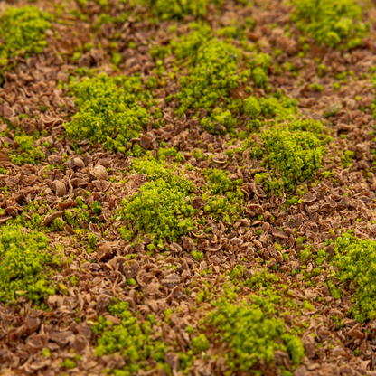Cold Baklava with Chocolate & Pistachio – A Modern Turkish Twist