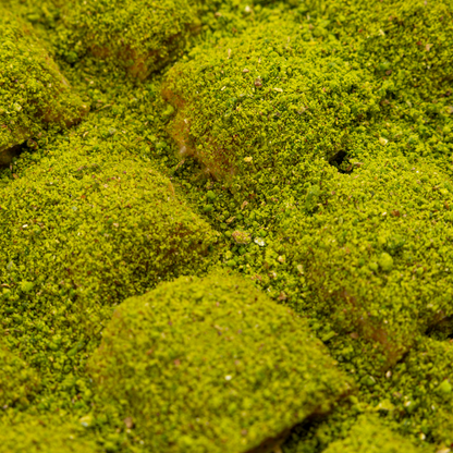 Cold Baklava with Chocolate & Pistachio – A Modern Turkish Twist